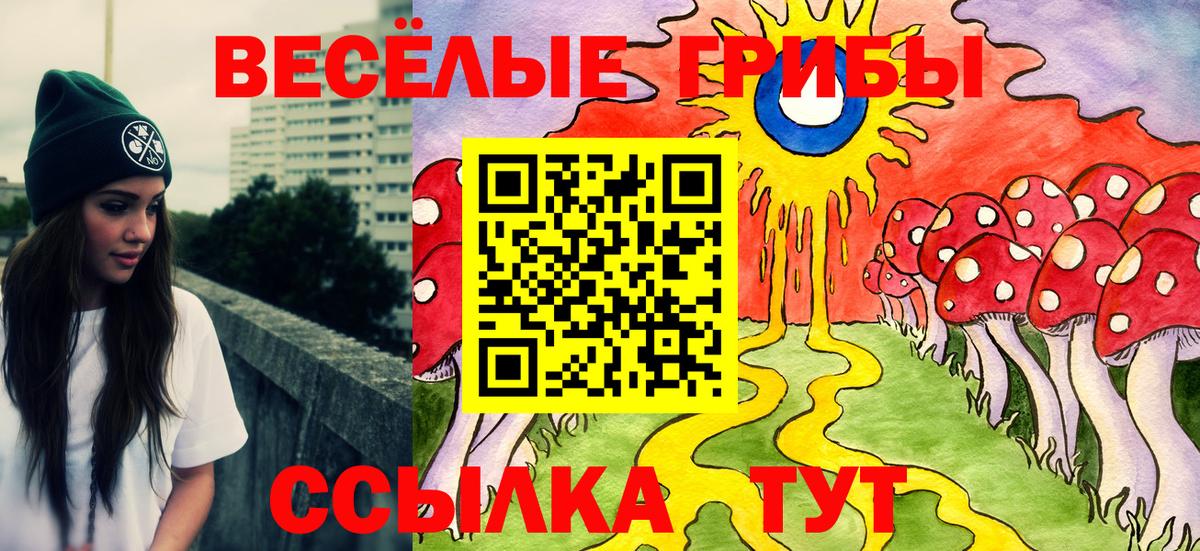 Галлюциногенные грибы Magic Shrooms Саранск