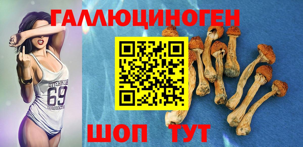 Саранск  как найти закладки  Галлюциногенные грибы ЛСД  Вход с VPN  Псилоцибиновые грибы MAGIC MUSHROOMS 